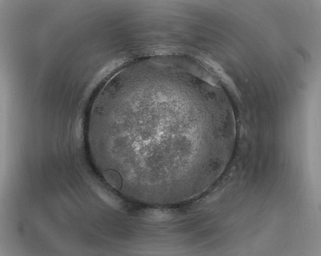 X0000115490250200911061313