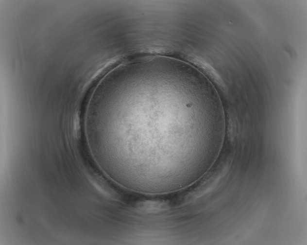 X0000115490251200911061313