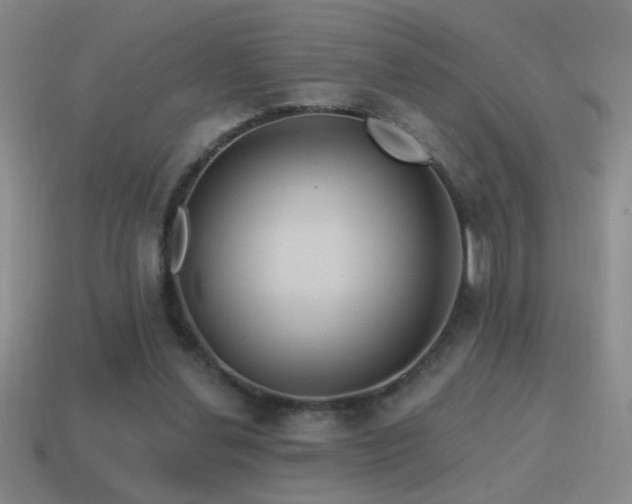 X0000115490252200911061313