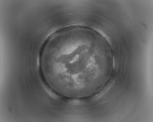 X0000115490253200911061313