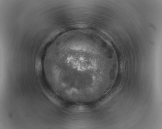 X0000115490254200911061313
