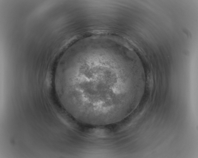 X0000115490255200911061313