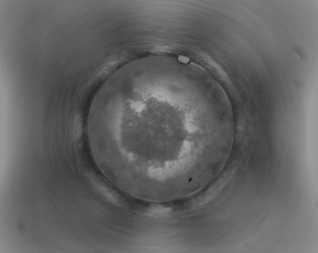 X0000115490257200911061313