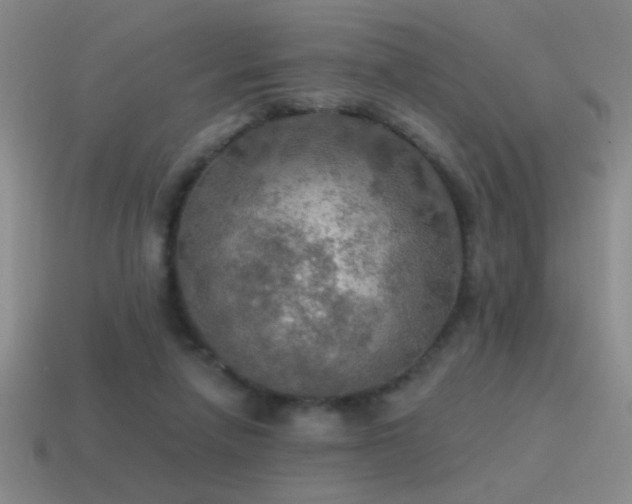 X0000115490258200911061313