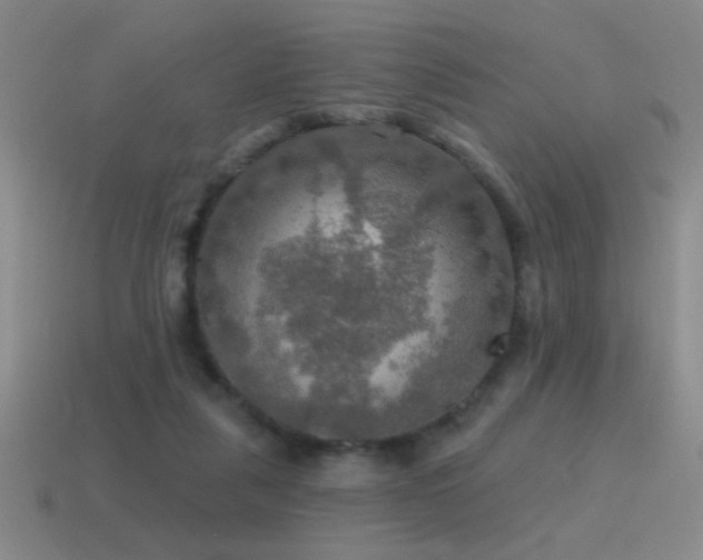 X0000115490259200911061313