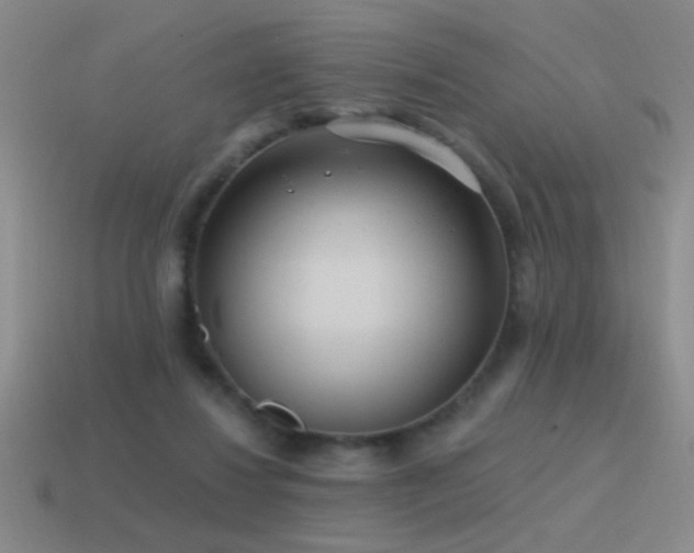 X0000115490260200911061313
