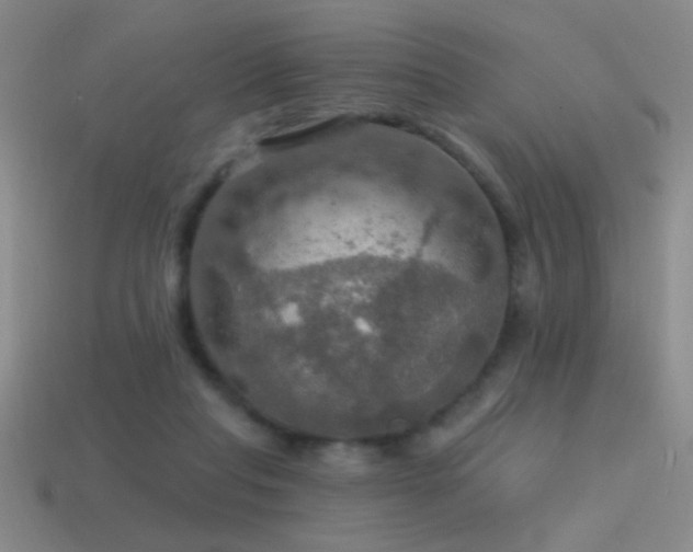 X0000115490261200911061313