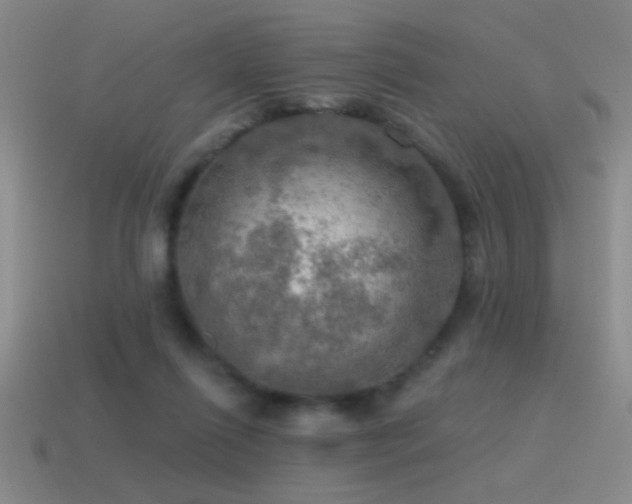 X0000115490262200911061313