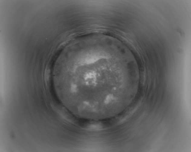X0000115490263200911061313