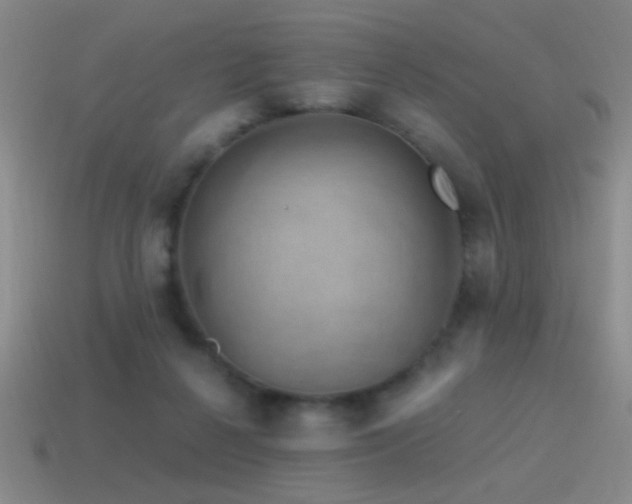 X0000115490264200911061313