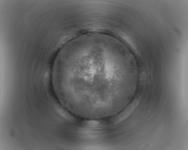 X0000115490265200911061313