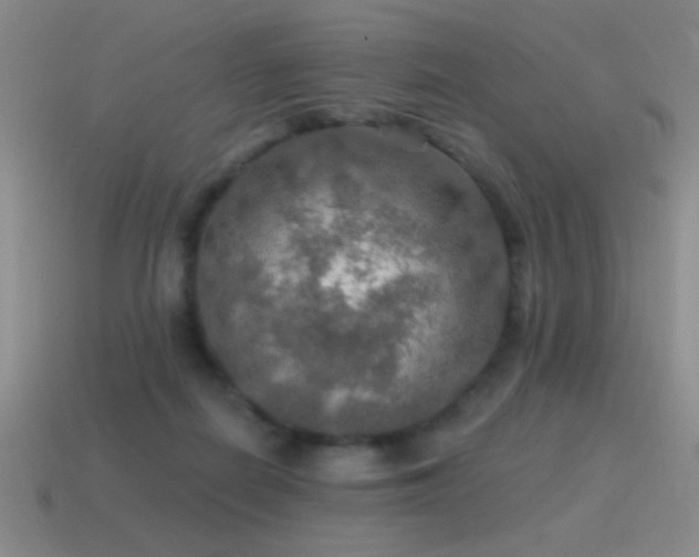 X0000115490266200911061313