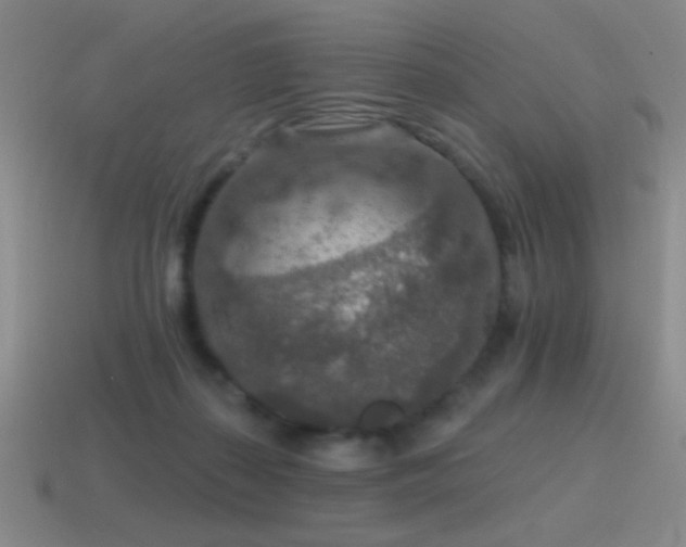 X0000115490267200911061313