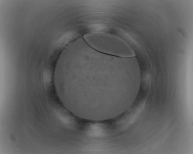 X0000115490268200911061313
