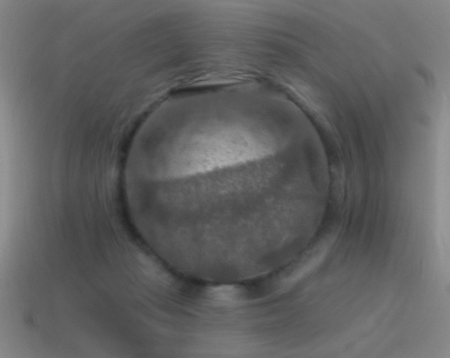 X0000115490269200911061313