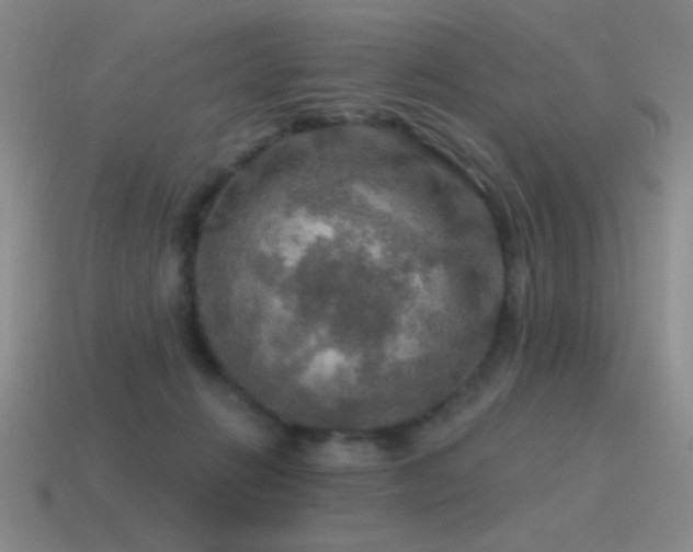 X0000115490270200911061313