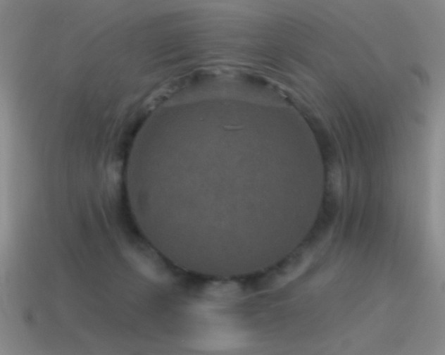 X0000115490271200911061313