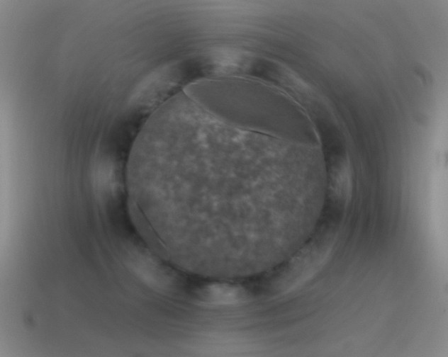 X0000115490272200911061313