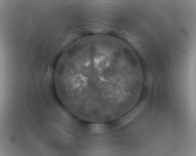 X0000115490273200911061313