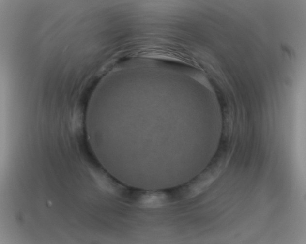 X0000115490274200911061313