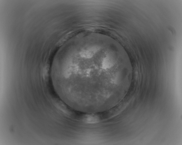 X0000115490275200911061313