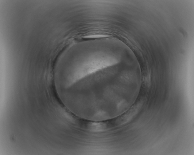 X0000115490277200911061313
