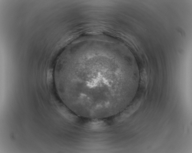 X0000115490278200911061313