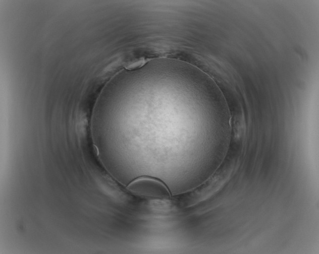 X0000115490279200911061313