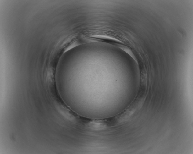X0000115490280200911061313