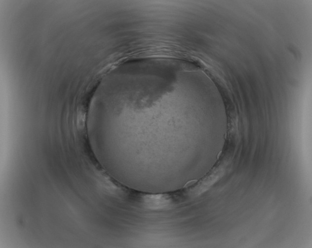 X0000115490281200911061313