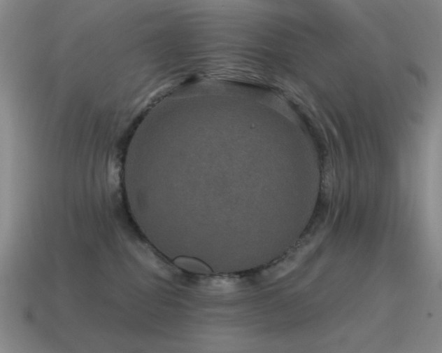 X0000115490282200911061313