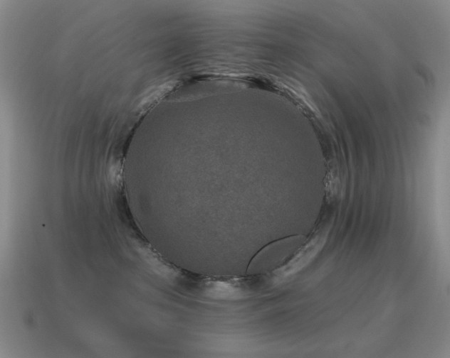 X0000115490285200911061313