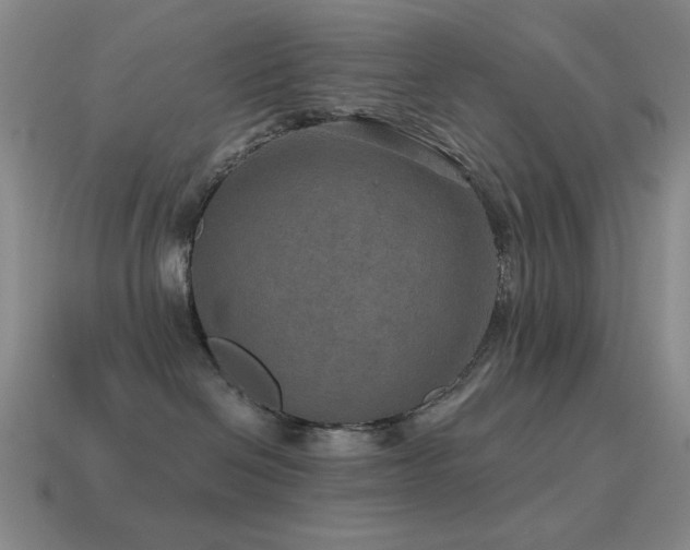 X0000115490286200911061313