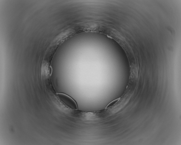 X0000115490287200911061313