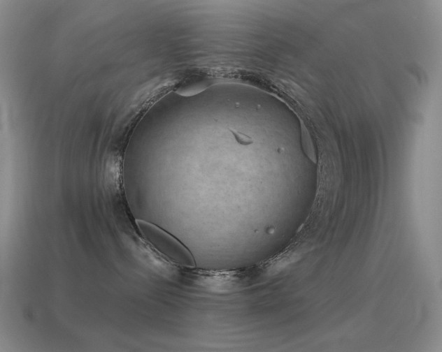 X0000115490288200911061313