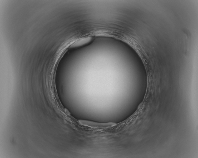 X0000115490289200911061312