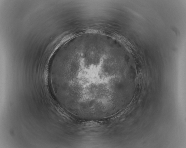 X0000115490290200911061312