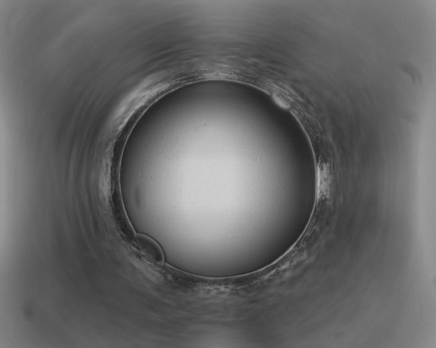 X0000115490291200911061312