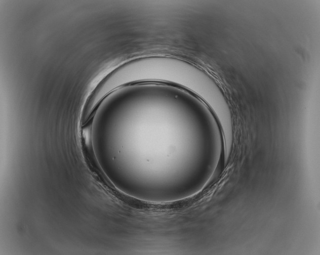 X0000115490292200911061312