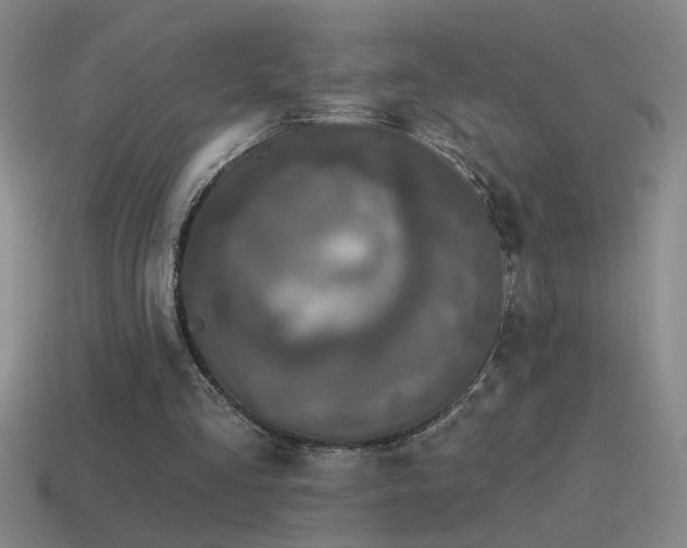 X0000115490293200911061312