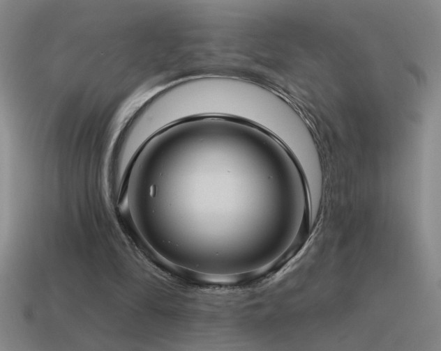X0000115490294200911061312
