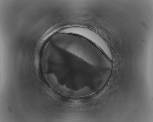 X0000115490295200911061312