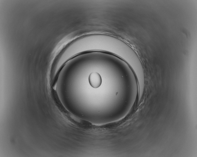 X0000115490296200911061312