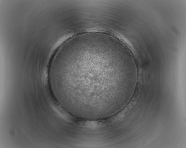 X0000115490298200911061312
