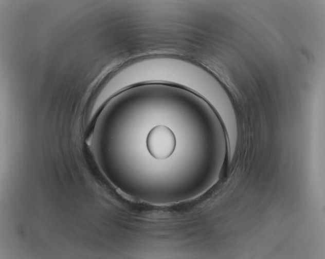 X0000115490300200911061312