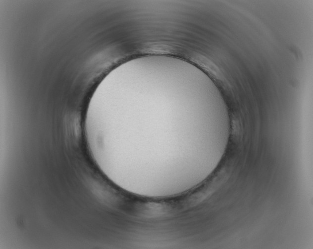 X0000115490302200911061312