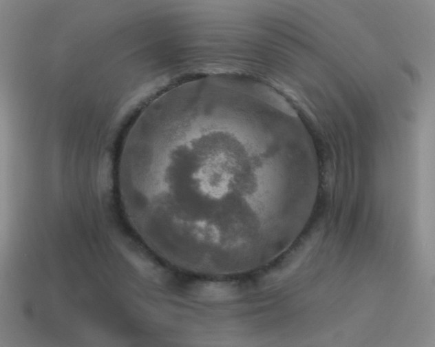 X0000115490303200911061312