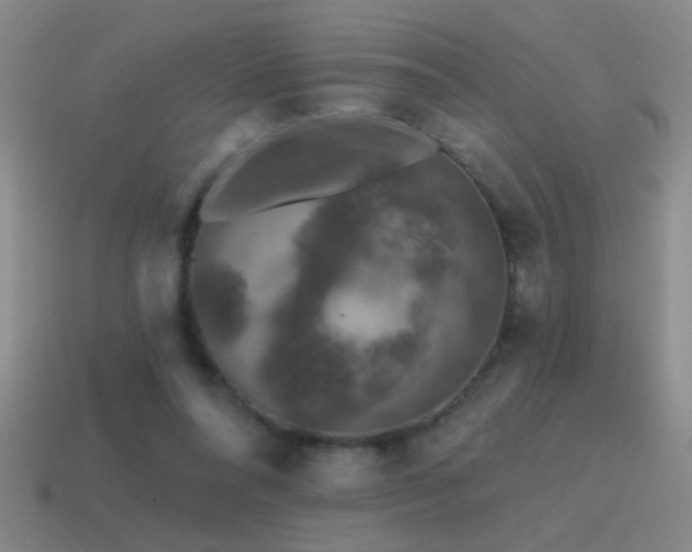 X0000115490304200911061312