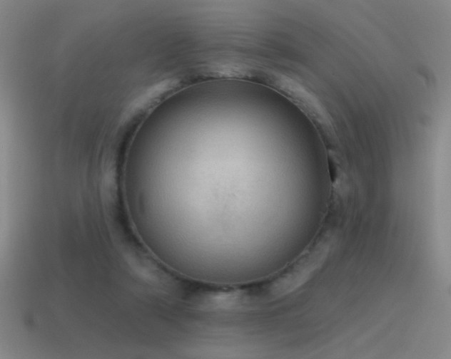 X0000115490306200911061312