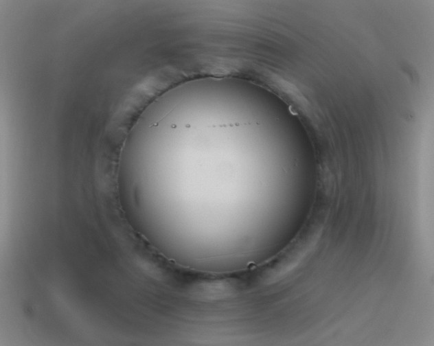 X0000115490307200911061312